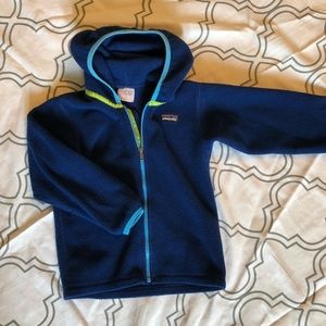 Patagonia Synchilla Hoodie
